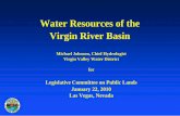 Hydrology of the Virgin River BasinMichael Johnson, Chief Hydrologist Virgin Valley Water District for Legislative Committee on Public Lands January 22, 2010 Las Vegas, Nevada. Virgin