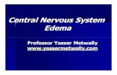 Central Nervous System Edema · brain edema. These molecules include the aquaporins (AQP), matrix metalloproteinases (MMPs) and growth factors such as vascular endothelial growth