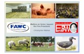 Welfare on farms: beyond the Five Freedoms€¦ · Should it move beyond the Five Freedoms? The emphasis in current legislation is on the avoidance of “unnecessary suffering”