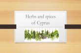 Herbs and spices of Cyprus - schools.ac.cylyk-ag-spyridonas-lem.schools.ac.cy/data/uploads/2018-19/...Herbs and spices through the centuries The use of herbs and spices has been incredibly