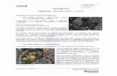 Documento1 - fimapromINFORME GPA FIMAPROM - SELEÇÃO 001/11 - VI) Detalhamento das áreas em viabilização 1. SPI Campo Grande — Zike Tuma, análise incluindo também o vazio existente.