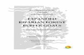 EXPANDED RIPARIAN FOREST BUFFER GOALS · 2019-03-21 · Chesapeake Bay Program Forestry Workgroup December 9, 2003 To the Members of the Chesapeake Executive Council: The riparian