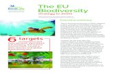 The EU Biodiversity - BirdLife · The EU Biodiversity The EU Biodiversity Strategy to 2020, adopted in 2011, provides a framework of action for halting biodiversity loss and the degradation