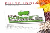 PULSE INDIA - ipga.co.inipga.co.in/wp-content/uploads/2020/03/Vol-1-Issue-5-Pulse-India-July... · PULSE INDIA AN INDIA PULSES AND GRAINS ASSOCIATION PUBLICATION Vol: I Issue 05 July-August