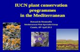 IUCN plant conservation programmes in the Mediterraneanmedislandplant.maich.gr/...Montmollin_IUCN.pdf · The IUCN Red List of Threatened Species ™ Introduction to the IUCN Red List.
