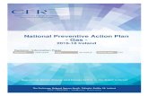 National Preventive Action Plan - Gas · The Preventive Action Plan, through preventive measures, aims to eliminate, or reduce the impact of these risks on gas customers in Ireland.