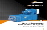 Asynchronous Vectorial Motors€¦ · MAGNETIC / SICMEMOTORI - Asynchronous Vectorial Motors 5 Soul, Heart and Brain striving to create real value to our customers and to ourselves.