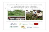 ORGANIC AGRICULTURE FOR IMPROVED FOOD SECURITY IN … · ORGANIC AGRICULTURE FOR IMPROVED FOOD SECURITY IN AFRICA 2 Preface and acknowledgements This report is the result of a one-day