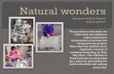 The pictures on this slide are taken from the children’s initial … · 2019-02-15 · Displayed are images of Andy Goldsworthy’s installations. The children explore the area,