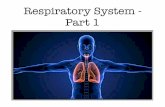 U4L17 - Respiratory System 1 copy · (breathing) gas exchange between lungs and blood cellular respiration gas exchange between blood and cell Breathing or ventilation is method by