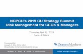 NCPCU’s 2019 CU Strategy Summit - National Council of Postal Credit Unions CU... · 2019-04-07 · 2 Financial Institutions Overview of Discussion Group •Seven risks NCUA expects