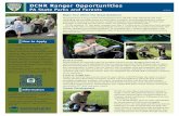 DCNR Ranger Opportunitiescdn.uconnectlabs.com/wp-content/uploads/...DCNR Ranger Opportunities PA State Parks and Forests How to Apply Information DCNR Ranger Trainee: Click on ‘Open