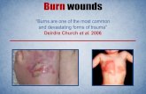 Burn wounds2014.igem.org/files/presentation/Groningen_Championship.pdfBurn wounds 1,200,000 burn injuries National Center for Injury Prevention and Control in the United States 100,000