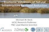 Infrastructure for Flood Reduction - Virginia DEQ...Benefits of Coral Reefs for Risk Reduction (1in100yr flood) ... Mgmt. 210:146-161. Pilot Project - Reef Restoration for Risk Reduction