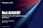 MA-Academy - Bridging the Gap with Transition Services ... · Bridging the Gap with Transition Services Agreements Vito Petretti and David Glazer March 12, 2019. Topics for Discussion