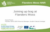 Joining up bog at Flanders Moss - EcoCoLife · Joining up nature across central Scotland . alai rccssncck Parks of NMR 63 64 _ _ Peat benneen 1 and Peat rem betspeen Peat rem 1 8130