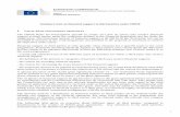 EUROPEAN COMMISSION - CDTIeshorizonte2020.cdti.es/recursos/doc/Programas... · Good practices and templates for organizing open calls under the H2020 Financial Support to Third Parties