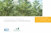 TIAA-CREF Asset Management | GreenWood Resources …greenwoodresources.com/wp-content/uploads/2014/03/...Increase productivity: Cutting edge forestry management can increase yields