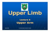 Lecture (5) Upper Arm 2016.ppt - JU Medicine · 2018-08-11 · Upper Limb Lecture 5 Upper Arm. Spring 2016 Dr. Maher Hadidi, University of Jordan 3 Humerus-Distal end Features: Medial
