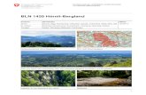 BLN 1420 Hörnli-Bergland - Federal Council · 2017-03-29 · BLN 1420 Hörnli-Bergland 2 1 Begründung der nationalen Bedeutung 1.1 Durch fluviale Erosion geprägte, stark zerfurchte