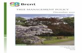 STREET TREE POLICY - Brent Council · Many of our trees grow within and beyond the human lifecycle, giving us a link between the past, present and future. Trees are vital as they
