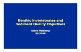 Benthic Invertebrates and Sediment Quality Objectives€¦ · 2009-09-29  · BACKGROUND • Benthic invertebrates are used extensively for integrated water quality assessments –