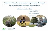 Opportunities for crowdsourcing approaches and satellite ......Opportunities for crowdsourcing approaches and satellite images for yield gap analysis Eskender Andualem Beza May 12,