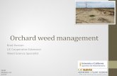 Orchard weed management - Stanislaus Countycestanislaus.ucanr.edu/files/299357.pdf · Orchard weed management QCWI Modesto, CA. 2-5-19. Brad Hanson. UC Cooperative Extension . Weed