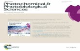 View Article Online Photochemical & …max2.ese.u-psud.fr/publications/Merlier_Soudani_2017.pdfVolume 15 Number 3 March 2016 Pages 311–458 Photochemical & Photobiological Sciences