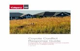 Coyote Conflict Response Guide - Calgary...Coyote Conflict Response Guide 6 ISC: Unrestricted Principles for Active Co-existence with Coyotes As per the Biodiversity Policy (The City