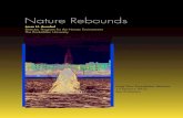 Nature Rebounds - Rockefeller Universityphe.rockefeller.edu/docs/Nature_Rebounds.pdf · 2019-10-10 · Nature Rebounds, Jesse H. Ausubel · 3. T. rends in America. may portend a global
