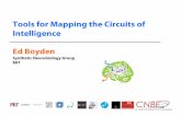 Tools for Mapping the Circuits of Intelligencecbmm.mit.edu/sites/default/files/documents/Lecture... · 2014-12-01 · Rahul Sarpeshkar, Steve Wasserman, Ramesh Raskar, Joseph Jacobson,