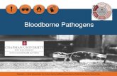 Bloodborne Pathogens - â€¢ Human immunodeficiency virus (HIV)/Acquired immunodeficiency syndrome (AIDS)