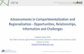 Advancements in Compartmentalization and Regionalization ...€¦ · Open Session of the EuFMD - Cascais –Portugal 26 -28 October 2016 Advancements in Compartmentalization and Regionalization