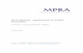 Real Options: Applications in Public Economics€¦ · MPRA Paper No. 11915, posted 04 Dec 2008 04:01 UTC. REAL OPTIONS: APPLICATIONS IN PUBLIC ECONOMICS Mathew Thomas Project Manager