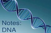 Notes: DNA · Watch this animation of DNA Replication: dna replication bozeman science - Bing video Write this song down to help you remember the parts of DNA: (to the tune of row