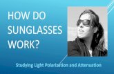 How Do SunGlasses Work?...frequently than the vertical wave, and the light becomes horizontally polarized This causes the glare we see when driving! We wear sunglasses to reduce the