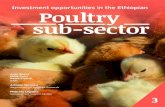 Investment opportunities in the Ethiopian Poultry sub-sector...Dutch investment opportunity and potentials in Ethiopia, the Dutch government has included Ethiopia in almost all financial