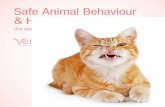 Safe Animal Behaviour & Handling Workshop€¦ · 8:45 Cats are different 9:30 – 10:00 Identifying fear and the learning theory: anxiety vs training 11:30Basic treatment for anxiety