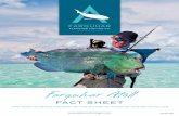 FACT SHEET - Alphonse Fishing Company · international flights from Europe, the United States, Africa and Asia. • Direct flights to the Seychelles from Paris, Bombay, Nairobi, Mauritius,