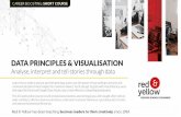 DATA PRINCIPLES & VISUALISATION · 2020-07-24 · Get introduced to visual literacy, design principles and best practice, and basic tools and visualisation applications that bring