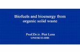 Biofuels and bioenergy from organic solid waste · Eco-technologies. Production. Resource . recovery • Green chemistry • Integrated wastewater and solid waste management • Biorefinery