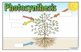 €¦ · Photosynthesis Posters Author: Mark and Helen Warner Subject: Teaching Ideas () Created Date: 20140919121214Z ...