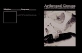 Arthropod Groups Arthropod G Arthropod Groupsroups · 2020-01-12 · Arthropod Groups Arthropod G Arthropod Groupsroups By Constance Woodman, 2006, gryphus@gmail.com Cover photo of