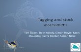 Tagging and stock assessmentTagging and stock assessment Tim Sippel, Dale Kolody, Simon Hoyle, Mark ... – Submitted to Fisheries Research as part of the IOTC Tagging Symposium Proceedings
