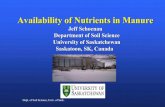Jeff Schoenau Department of Soil Science University of ...calasa.ucdavis.edu/files/259247.pdfDept. of Soil Science, Univ. of Sask. Soil organic C contents (T/ha 0-15cm) in a Black