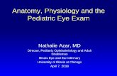 Anatomy, Physiology and the Pediatric Eye Examchicago.medicine.uic.edu/wp-content/uploads/sites/... · The Pediatric Eye Examination •Examination: Assessment of monocular eye functions: