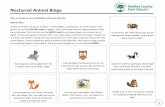 Nocturnal Animal Bingo - medinacountyparks.com · on the animal square if they have it. The first person to get four in a row shouts BINGO! I have big eyes and can glide from the