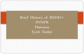 Brief History of REDD+ SNNPR Hawassa Eyob Tenkir · 2018-03-14 · International REDD+ evolution In the 1997 –Kyoto protocol, policies related to deforestation & degradation was