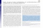 Role of gene body methylation in acclimatization and ... · Role of gene body methylation in acclimatization and adaptation in a basal metazoan Groves Dixona, Yi Liaoa, Line K. Bayb,
